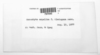 Image Associated With the Occurence